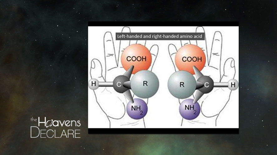3 The Microscope & DNA -part 2