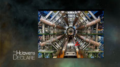 The Large Hadron Collider