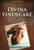 Divina vindecare PDF imagine